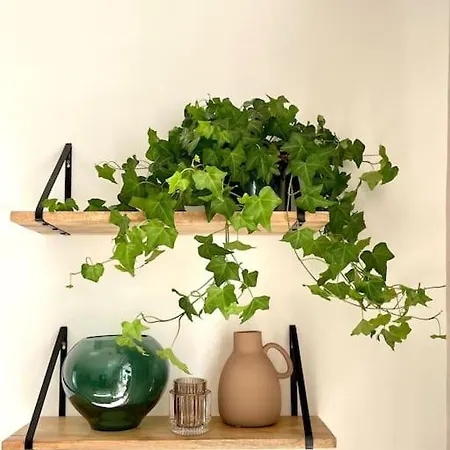 Precioso Y Acogedor En Zona De Golf Апартаменти Естепона