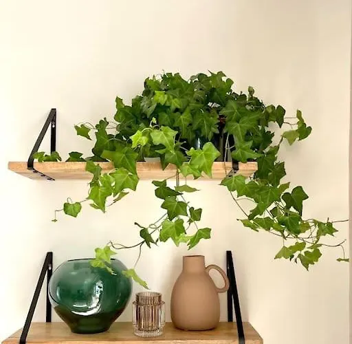 Precioso Y Acogedor En Zona De Golf شقة إِستيبونا